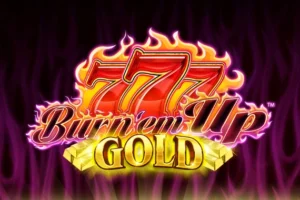 Burn ’em Up Gold 老虎機評測：Light & Wonder 火焰主題經典之作，96.1% RTP 值得一試嗎？